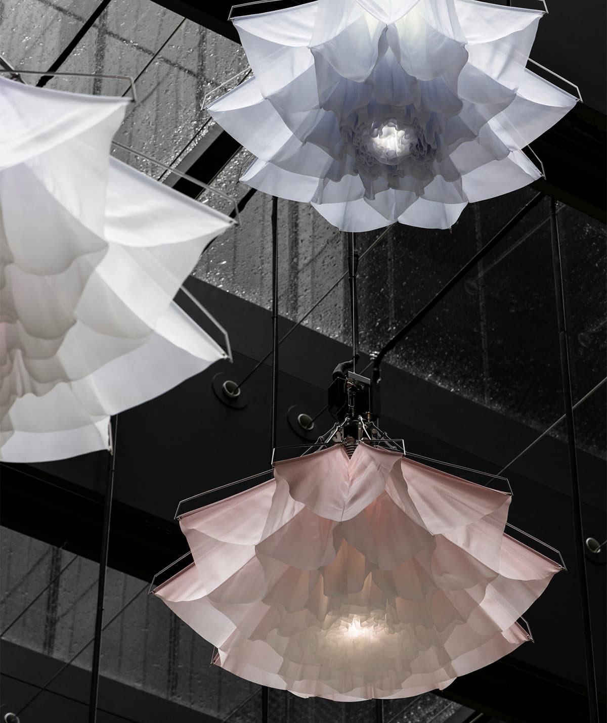 شايلايت من تصميم ستوديو دريفت