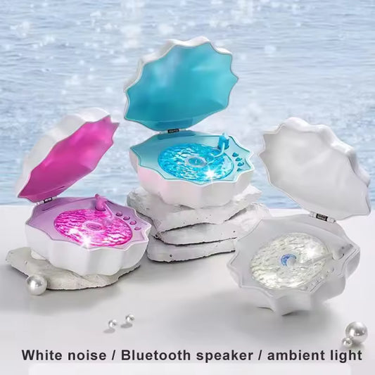 Haut-parleur Bluetooth Portable